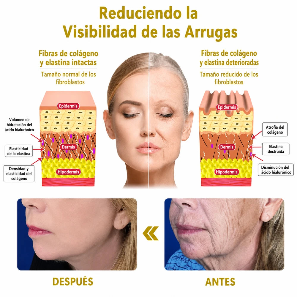 Crema Reafirmante Antiarrugas Fubsta
